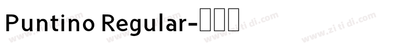 Puntino Regular字体转换
